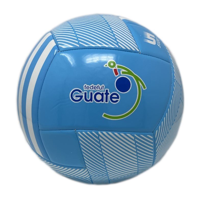 Size 5 Ball<br/>Quantity Available:100 pcs 