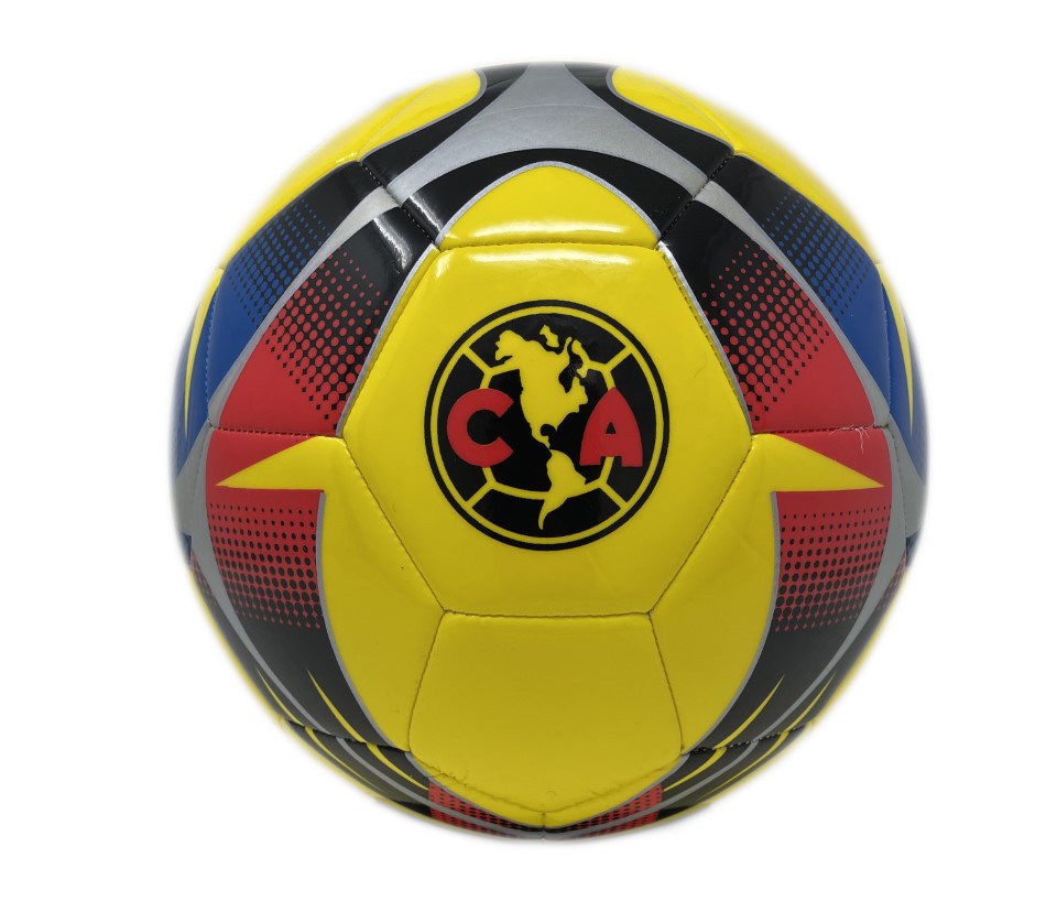 Size 5 Ball<br/>Quantity Available:100 pcs 