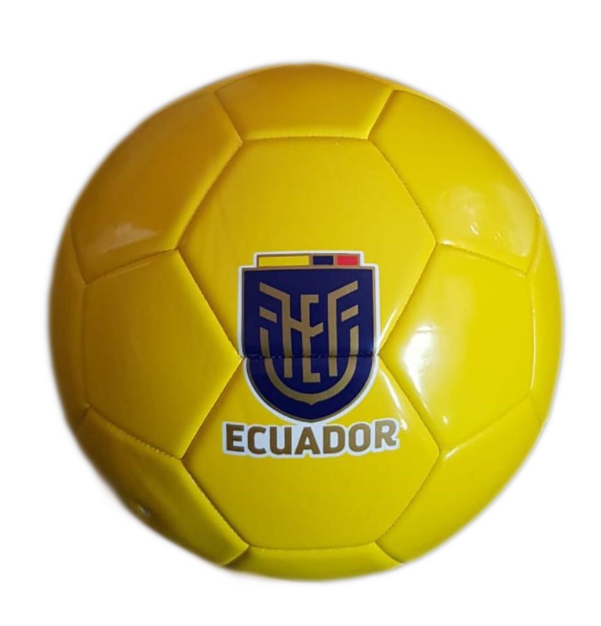 Size 5 Ball<br/>Quantity Available:100 pcs 