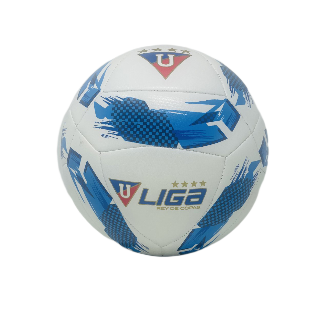 Size 5 Ball<br/>Quantity Available:100 pcs 
