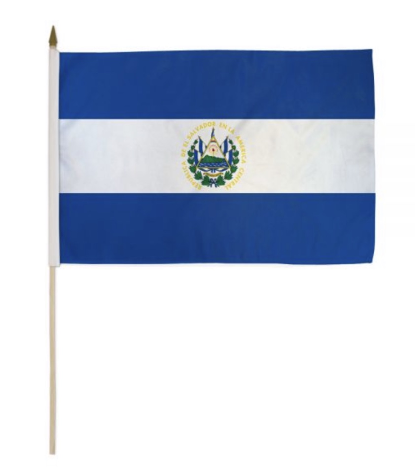 24*18 Stick Flag<br/>Quantity Available:50 dz 