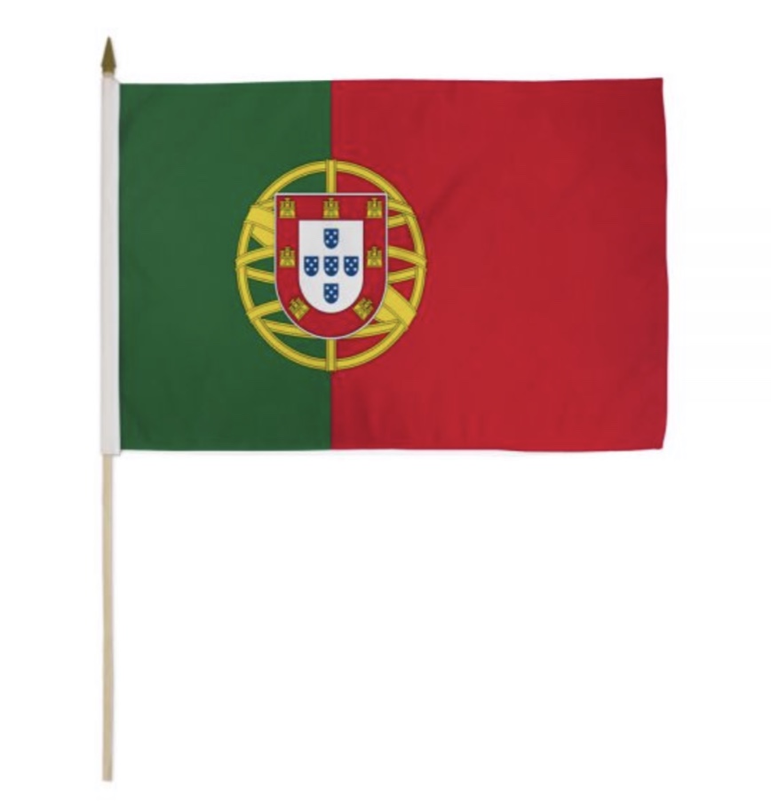 24*18 Stick Flag<br/>Quantity Available:30 dz 