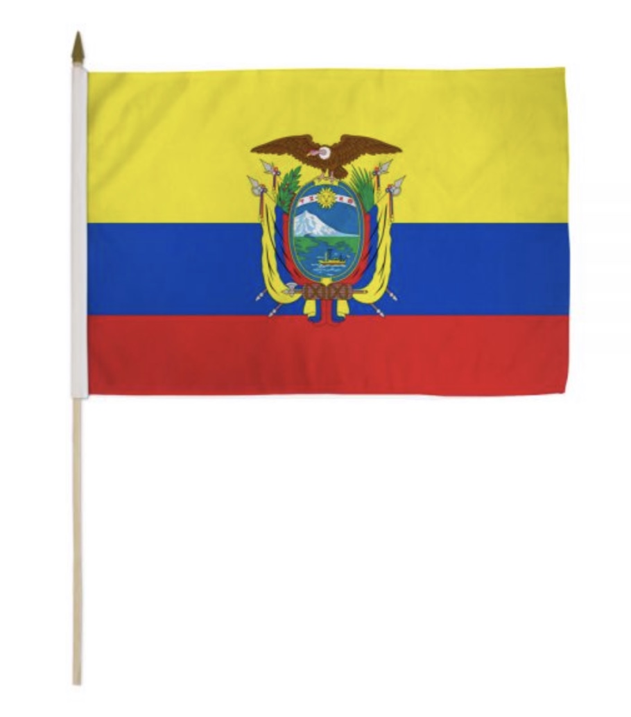 24*18 Stick Flag<br/>Quantity Available:20 dz 